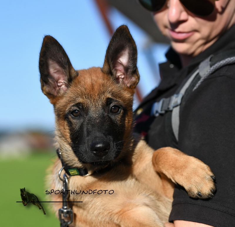 Impressionen 094.jpg